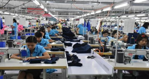 復工核查背后的挑戰 工廠倒閉潮與移民咨詢服務的興起